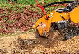 Best Arborist Consultation Services  in Black Diamond, WA